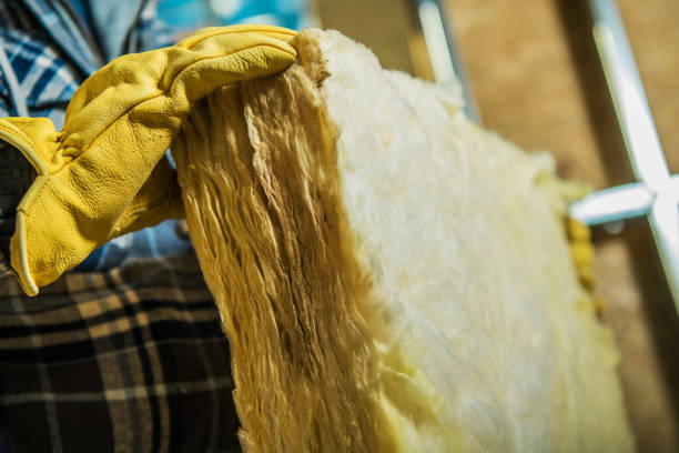 Best Residential Insulation in Elk Mound, WI